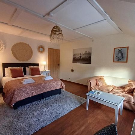 Les Gabelous - Chambre D'Hotes - Viroinval Dourbes Buitenkant foto
