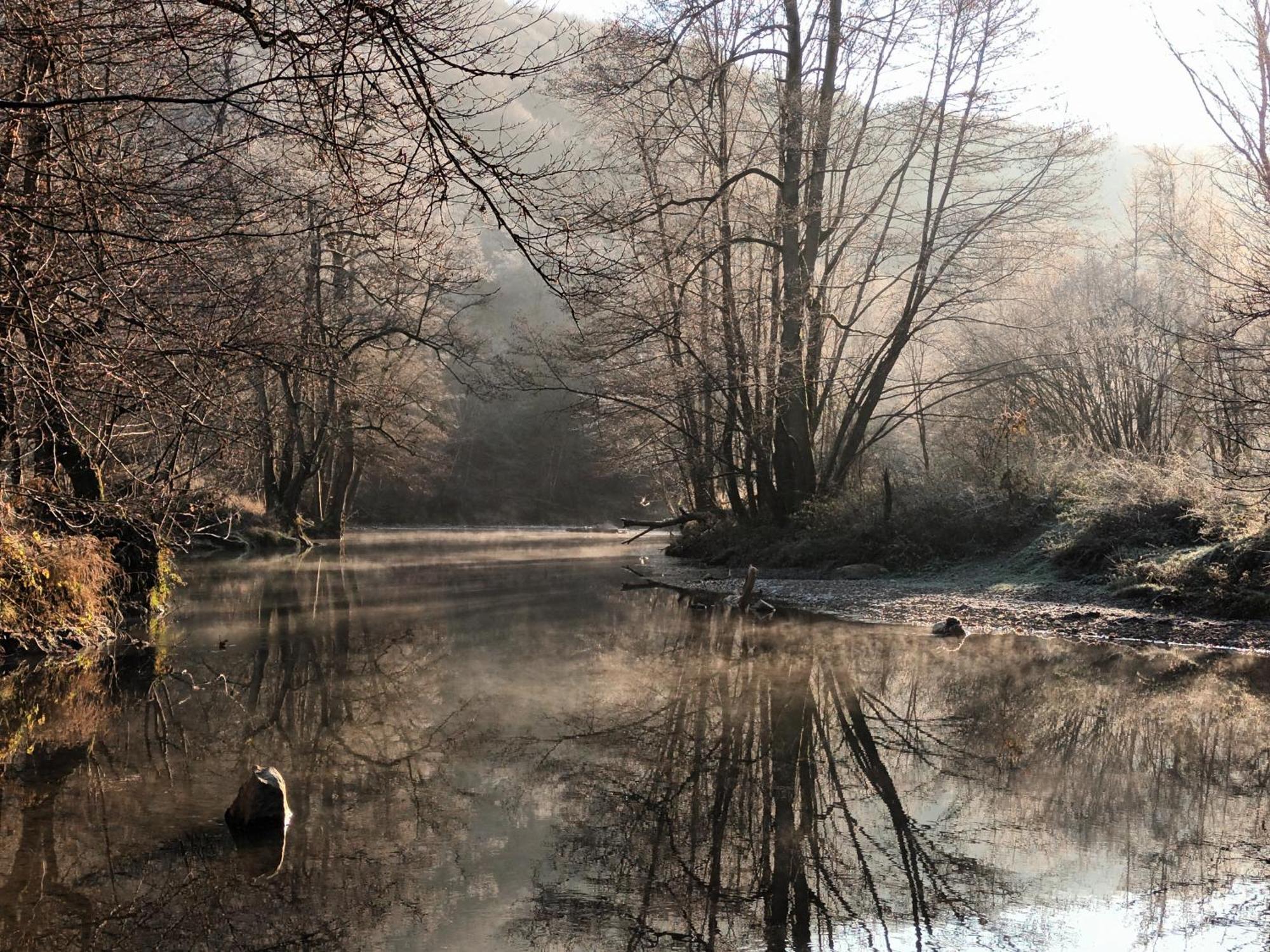 Les Gabelous - Chambre D'Hotes - Viroinval Dourbes Buitenkant foto