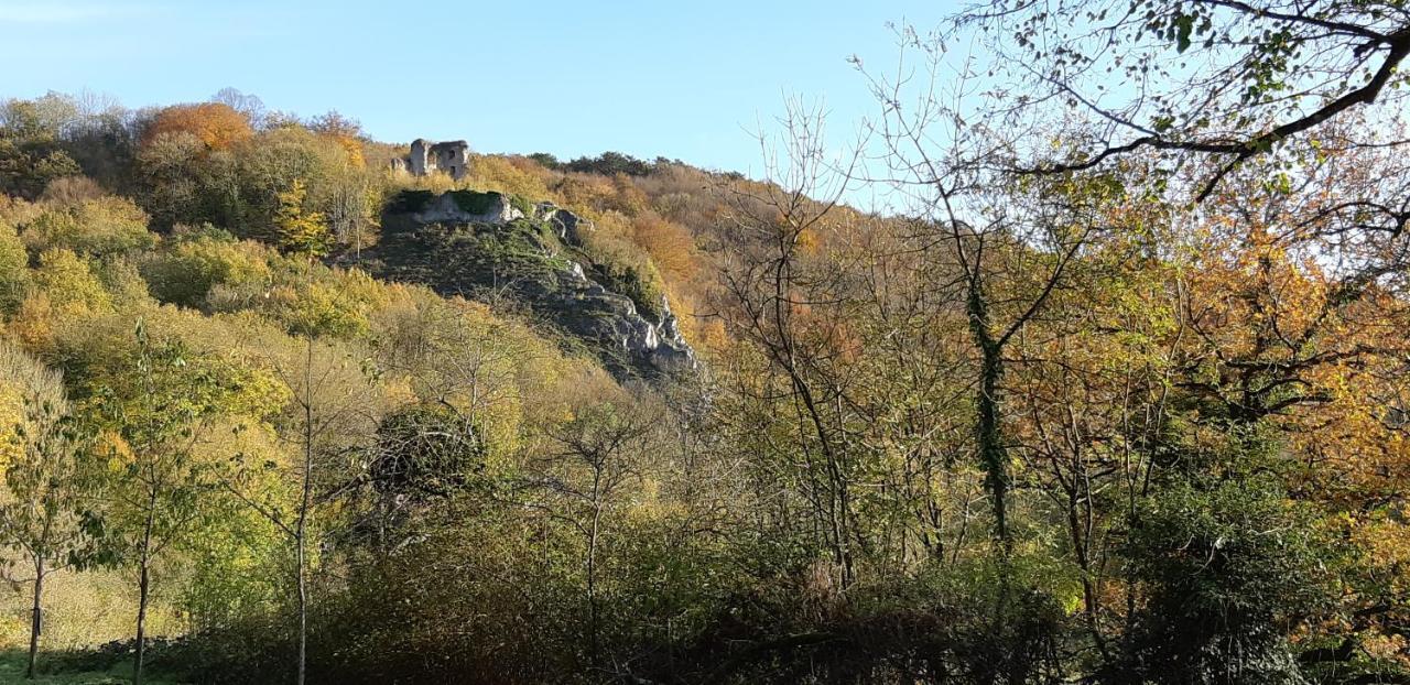 Les Gabelous - Chambre D'Hotes - Viroinval Dourbes Buitenkant foto